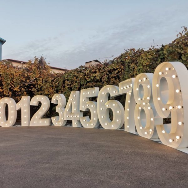 Location Grand Chiffre lumineux de 0 à 9 -Hauteur 1m20 -Multicolore RGB – Image 2